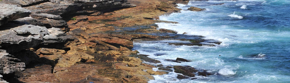 Pacific Sothebys